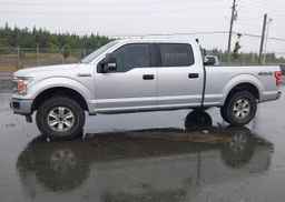 2019 FORD F-150 XLT