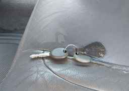 2004 DODGE RAM 1500 SLT