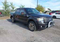 2010 FORD F150 SUPERCREW