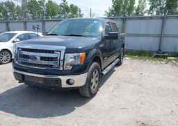 2013 FORD F150 SUPERCREW