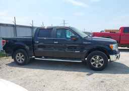2013 FORD F150 SUPERCREW