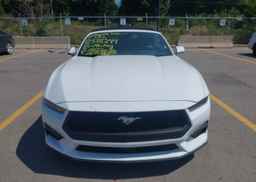 2025 FORD MUSTANG