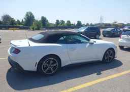 2025 FORD MUSTANG