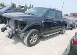 2024 FORD F150 XLT