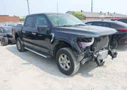 2024 FORD F150 XLT
