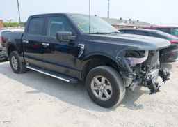 2024 FORD F150 XLT
