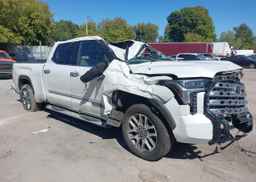 2022 TOYOTA TUNDRA PLATINUM