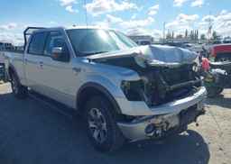 2014 FORD F-150 FX4