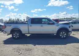 2014 FORD F-150 FX4