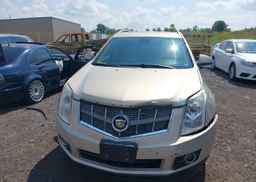 2010 CADILLAC SRX LUXURY AND PERFORMANCE COLLECTION