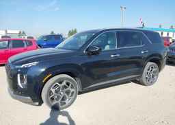 2022 HYUNDAI PALISADE ULTIMATE CALLIGRAPHY