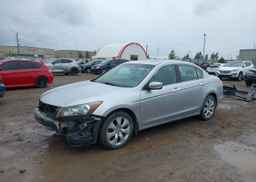 2009 HONDA ACCORD EX V6