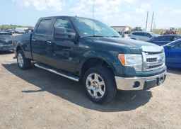 2013 FORD F150 SUPERCREW