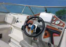 2009 BAYLINER boat