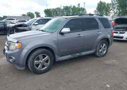 2008 FORD ESCAPE XLT