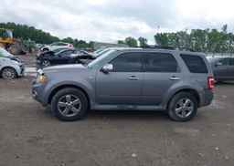 2008 FORD ESCAPE XLT