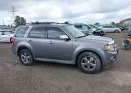 2008 FORD ESCAPE XLT