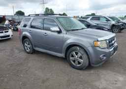 2008 FORD ESCAPE XLT
