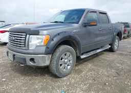2010 FORD F150 SUPERCREW