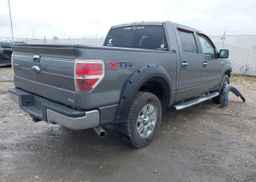 2010 FORD F150 SUPERCREW