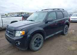 2010 FORD ESCAPE XLT