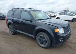 2010 FORD ESCAPE XLT