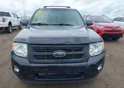 2010 FORD ESCAPE XLT
