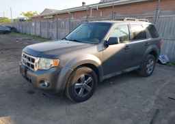 2010 FORD ESCAPE XLT