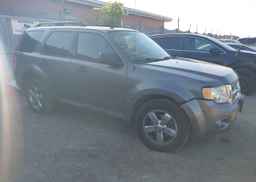 2010 FORD ESCAPE XLT