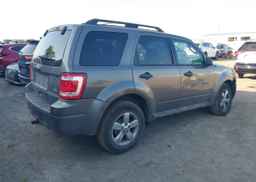 2010 FORD ESCAPE XLT