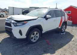 2019 TOYOTA RAV4 LE