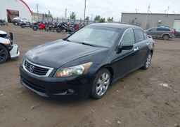 2010 HONDA ACCORD SEDAN