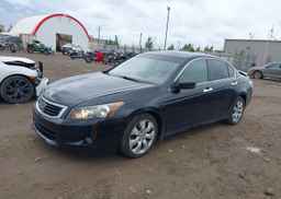 2010 HONDA ACCORD SEDAN