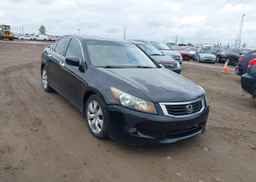 2010 HONDA ACCORD SEDAN