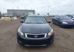 2010 HONDA ACCORD SEDAN