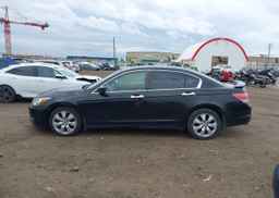 2010 HONDA ACCORD SEDAN
