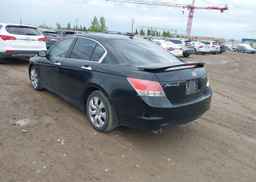 2010 HONDA ACCORD SEDAN