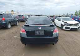 2010 HONDA ACCORD SEDAN
