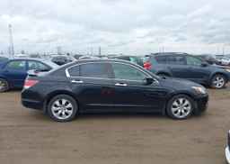 2010 HONDA ACCORD SEDAN