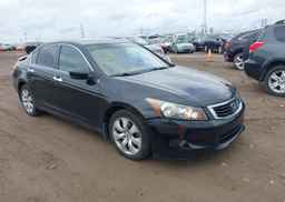 2010 HONDA ACCORD SEDAN
