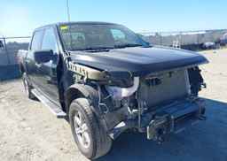 2024 FORD F150 XLT