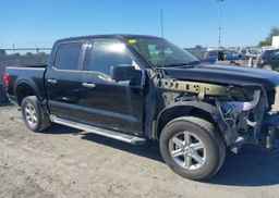 2024 FORD F150 XLT