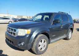 2008 FORD ESCAPE XLT