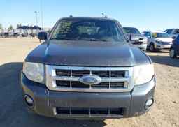 2008 FORD ESCAPE XLT