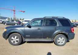 2008 FORD ESCAPE XLT