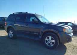 2008 FORD ESCAPE XLT