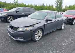 2014 HONDA ACCORD EXL