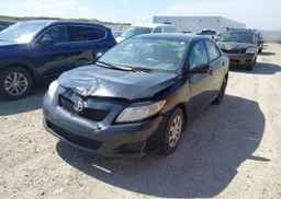 2010 TOYOTA COROLLA CE
