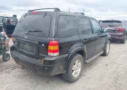 2006 FORD ESCAPE LIMITED