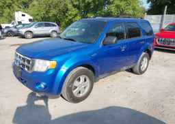 2011 FORD ESCAPE XLT